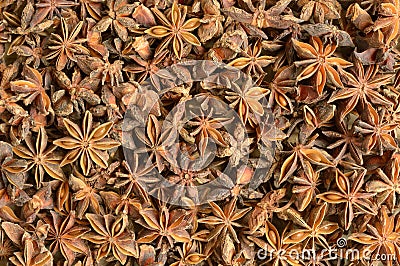 Dried aniseeds Stock Photo