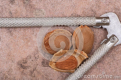 Dried Apricot Kernels the seed of an apricot, often called a `stone` and stainless steel nutcracker on natural stone Stock Photo