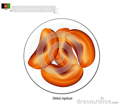 Dried Apricot, A Popular Fruit in Afghanistan Vector Illustration