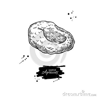 Dried apricot vector drawing. Hand drawn dehydrated fruit illustration. Vector Illustration