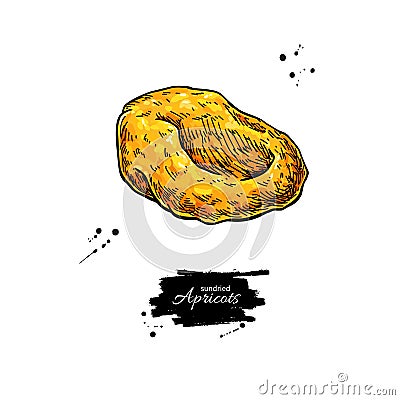 Dried apricot vector drawing. Hand drawn dehydrated fruit illustration. Vector Illustration