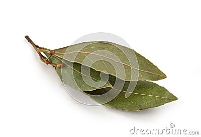 Dried bay leaf Stock Photo