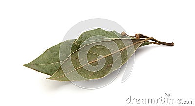 Dried bay leaf Stock Photo