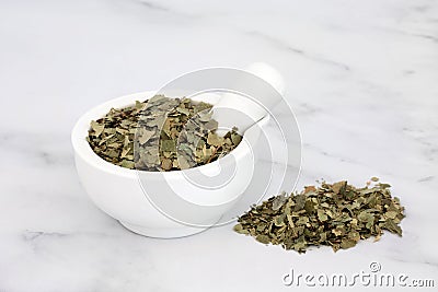 Dried Birch Leaves used in Herbal Medicine Stock Photo