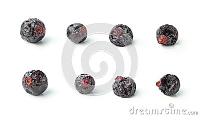 Dried blackcurrant berries Stock Photo