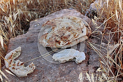 Dried bread on rock Stock Photo