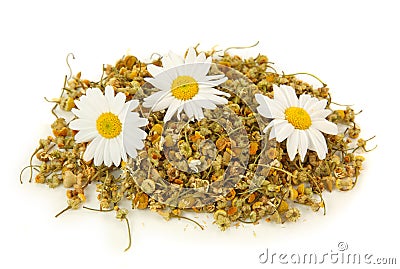 Dried camomile tea Stock Photo