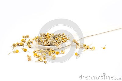 Camomile on a wooden spoon isolated on a white background Stock Photo