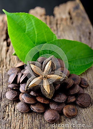Dried capsule seeds fruit of sacha-Inchi peanut Stock Photo