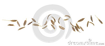 Dried caraway seeds isolated on white background, top view. Cumin seeds Stock Photo