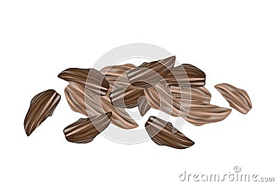 Dried Cardamom Pods on A White Background Vector Illustration