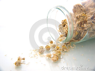 Dried Chamomile Stock Photo