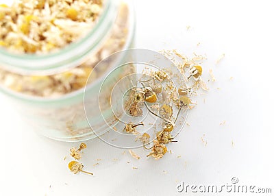 Dried Chamomile Stock Photo