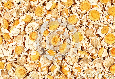 Dried Chamomile Flowers Stock Photo