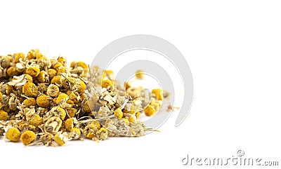 Dried Chamomile Flowers on a White Background Stock Photo