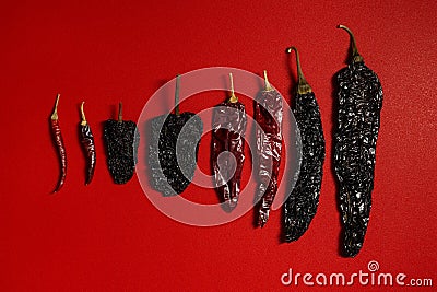Dried Chilis Red background, chile guajillo Pasilla mexican spice variety size flat lay Stock Photo