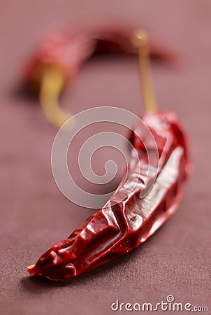 Dried chilli peppers Stock Photo