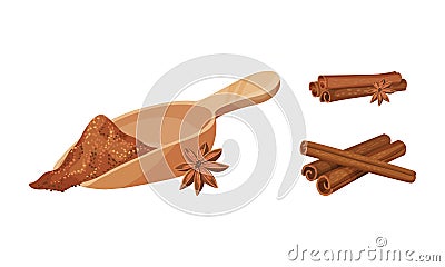 Dried Cinnamon Bark Strips and Bark Powder in Scoop Vector Set Vector Illustration