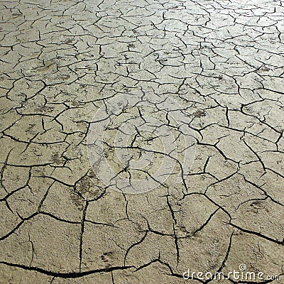 Dried clay displays a cracking texture on the ground Stock Photo