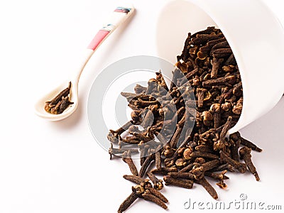 Dried Clove / indian spice laung isolated stock photo with white background. Stock Photo