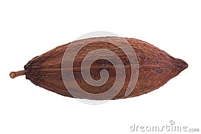 Dried cocoa pod on a white background Stock Photo