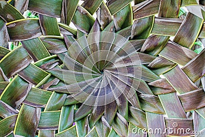 Dried coconut leaves woven background Stock Photo