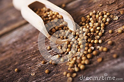 Dried Coriander Seeds Stock Photo