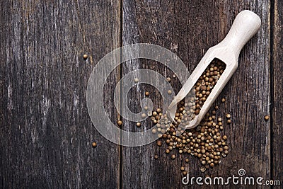 Dried Coriander Seeds Stock Photo