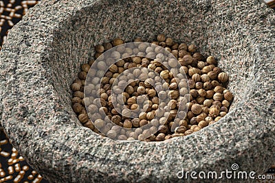 Dried coriander seed in an Asian stone mortar close up Stock Photo