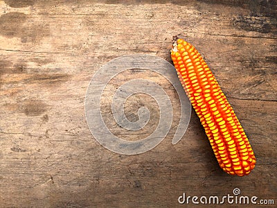 Dried corn used for cattle Stock Photo