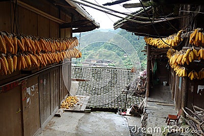 Dried Corns with Chinese Minority Village Stock Photo