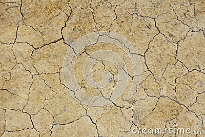 Dried crack land Stock Photo