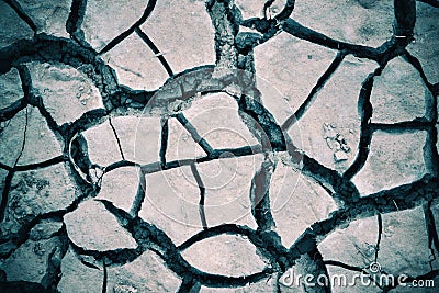 Dried cracked earth soil Stock Photo