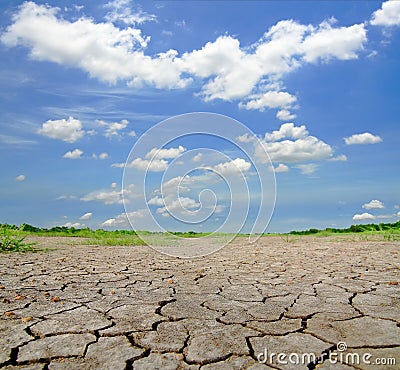 Dried and cracked soil Stock Photo