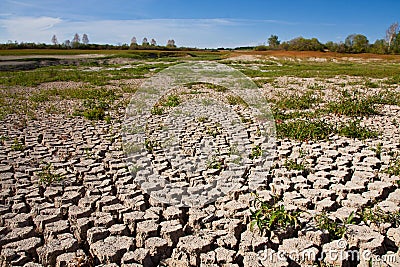 Dried and cracked soil Stock Photo