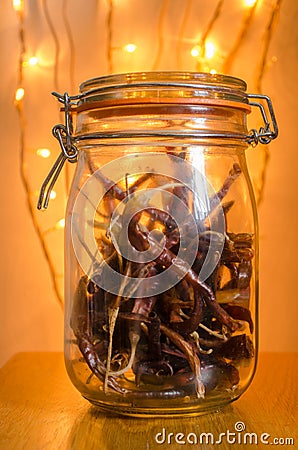 Dried de arbol chiles or chillies in glass storage jar in front of fairy lights with shallow depth of field Stock Photo