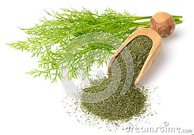 Dried dill weed in the wooden scoop, with fresh dill weed, isolated on white Stock Photo