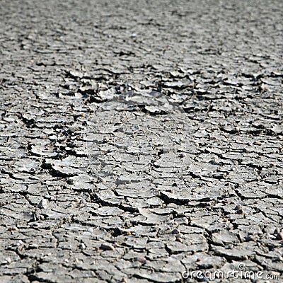 Dried dirt texture Stock Photo