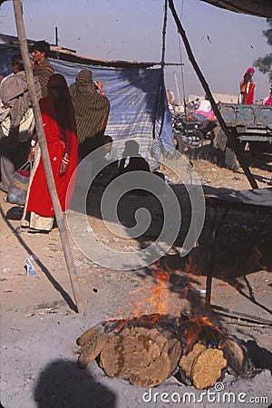 Dried dung cake campfire Editorial Stock Photo