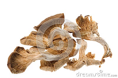 Dried Edible Mushrooms Stock Photo