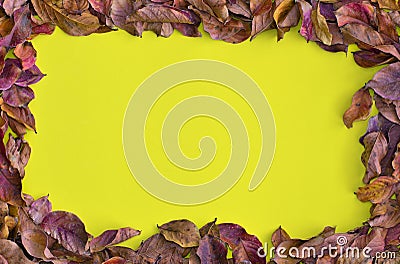 Dried Fall leaves around a yellow background. Stock Photo