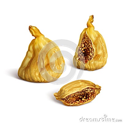 Dried figs whole and half. Realistic illustration Vector Illustration