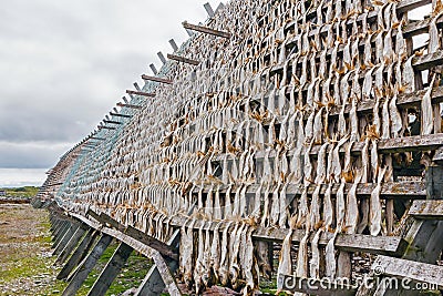 Dried fish. Stock Photo