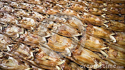 Dried fish Stock Photo