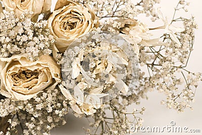 Dried Flowers Stock Photo