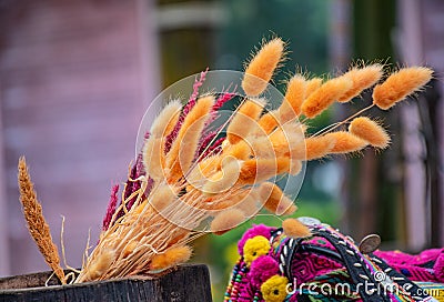 Dried flowers in a basket Stock Photo