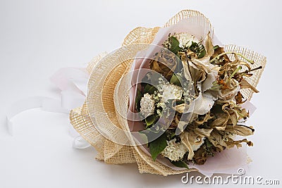 Dried a flowers, beautifully crafted, white backgrounds Stock Photo