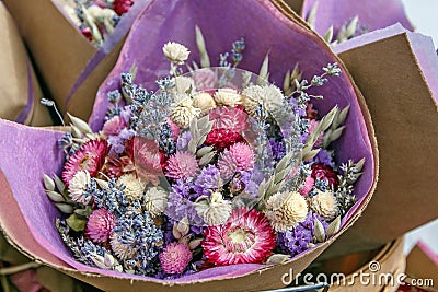 Dried flowers Stock Photo