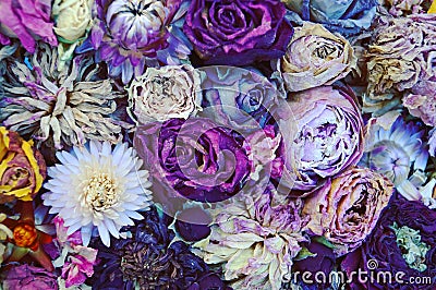 Dried flowers Stock Photo