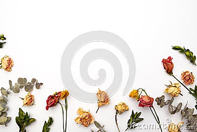 Dried flowers composition. Frame made of dried rose. Flat lay, top view Autumn floral pattern Stock Photo